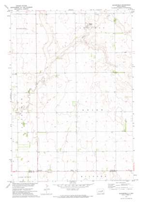 Bloomfield USGS topographic map 44098f1