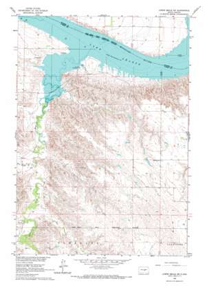 Lower Brule SW USGS topographic map 44099a6