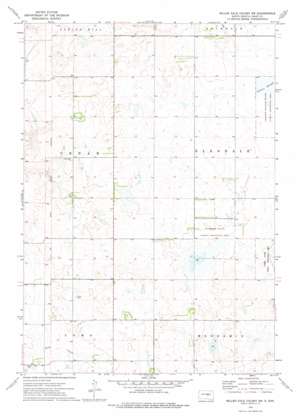 Miller Dale Colony SW USGS topographic map 44099c2