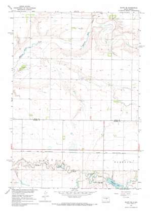 Blunt SE USGS topographic map 44099e7