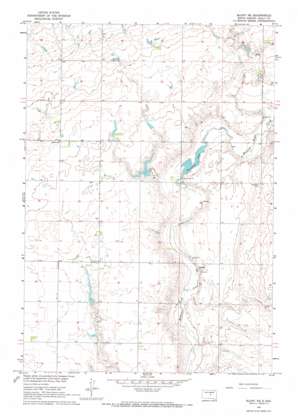 Blunt NE USGS topographic map 44099f7
