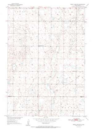 Rezac Lake Nw USGS topographic map 44099h4