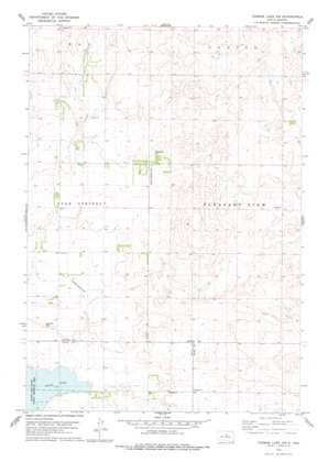 Thomas Lake NW USGS topographic map 44099h6