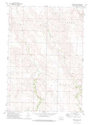 Wendte Sw topo map