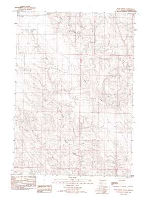 Doty Ridge USGS topographic map 44100c7