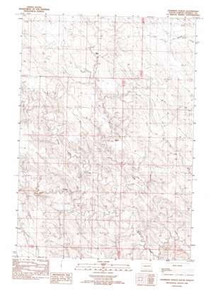 Hohrman Ranch USGS topographic map 44100c8