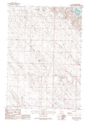 Lacy topo map