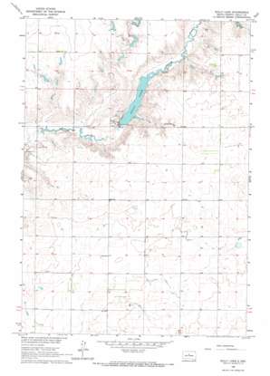 Sully Lake topo map
