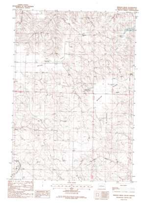 Mission Ridge USGS topographic map 44100f7