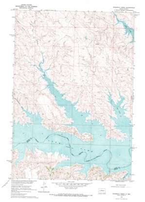 Rousseau Creek USGS topographic map 44100g7
