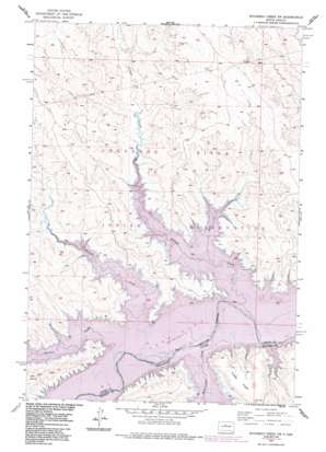 Rousseau Creek Sw topo map