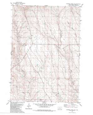 Rousseau Creek Nw USGS topographic map 44100h8