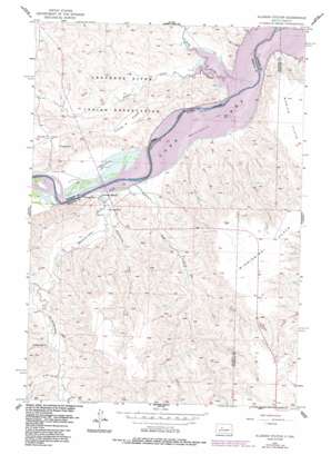 Alleman Station USGS topographic map 44101f2