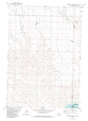 Herbert Creek Sw USGS topographic map 44101g2