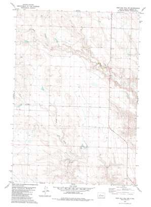 High Elk Hill SE USGS topographic map 44101g3