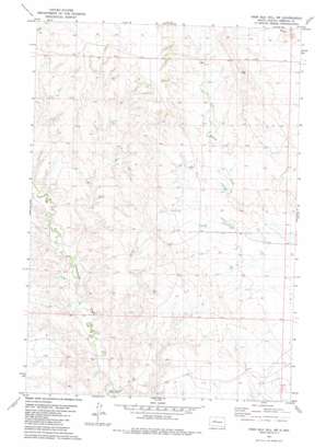 High Elk Hill Sw USGS topographic map 44101g4