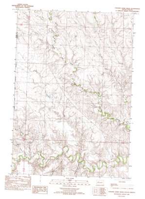 Chasing Hawk Draw USGS topographic map 44101g8