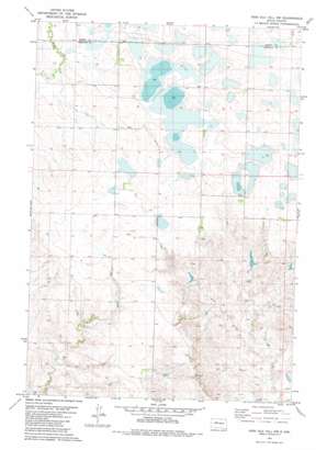High Elk Hill Nw USGS topographic map 44101h4