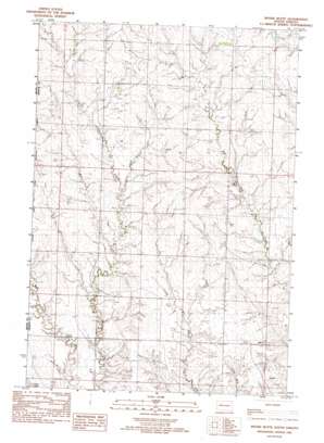 Bessie Butte USGS topographic map 44101h8