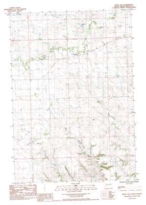 White Owl USGS topographic map 44102e4