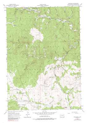 Rochford USGS topographic map 44103a6