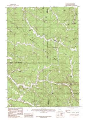Buckhorn USGS topographic map 44104b1