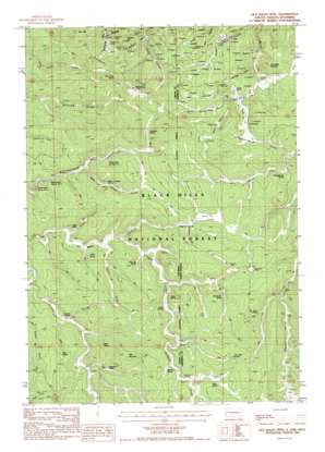 Old Baldy Mountain USGS topographic map 44104c1
