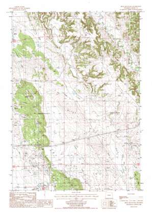 Iron Mountain USGS topographic map 44104c6