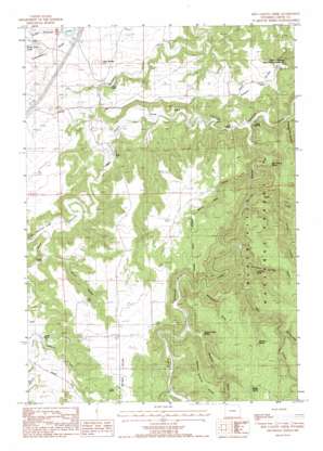 Red Canyon Creek USGS topographic map 44104d2
