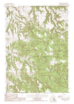 Sherrard Hill USGS topographic map 44104e5
