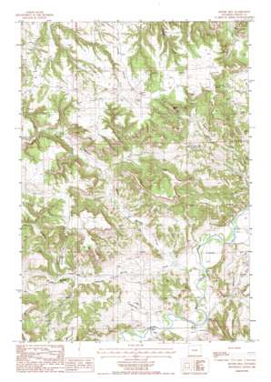 Moore Hill topo map