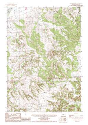 Strawberry Hill USGS topographic map 44104g6