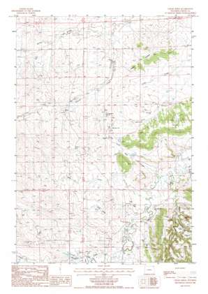 Cedar Ridge USGS topographic map 44104g8