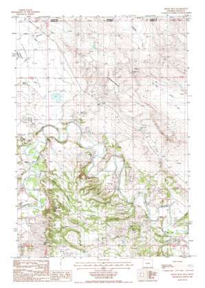 Devils Run USGS topographic map 44104h3