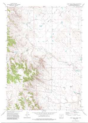 Coon Track Creek topo map