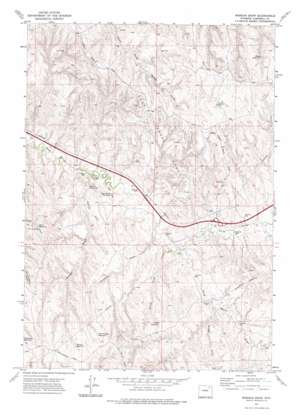 Morgan Draw USGS topographic map 44105b8