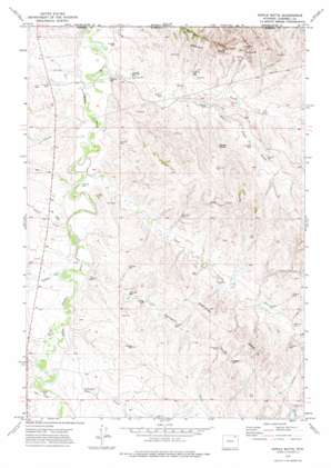 Nipple Butte topo map