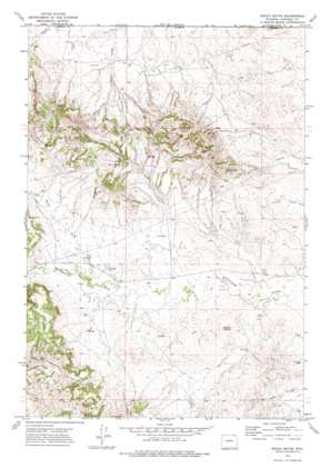 Rocky Butte topo map