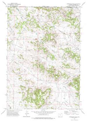 Homestead Draw USGS topographic map 44105h5