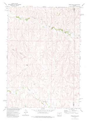 Negro Butte USGS topographic map 44106a1