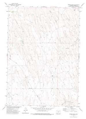 Brown Ranch USGS topographic map 44106a4