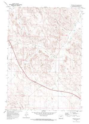Buffalo SE USGS topographic map 44106c5