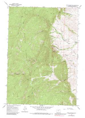 Stone Mountain USGS topographic map 44106d8