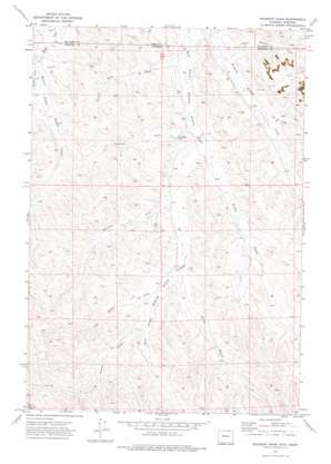 Roundup Draw USGS topographic map 44106h4
