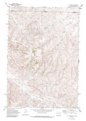 O T O Ranch USGS topographic map 44106h5