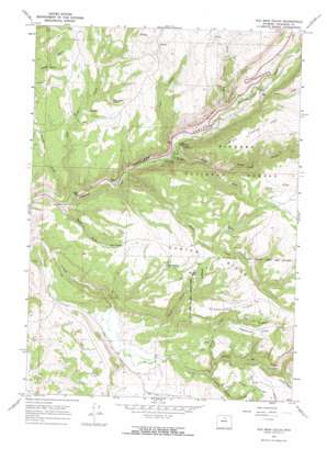 Old Maid Gulch topo map
