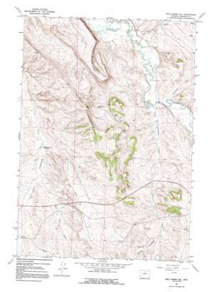 Wild Horse Hill USGS topographic map 44107a5