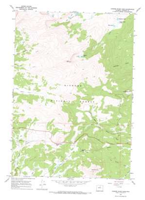 Powder River Pass USGS topographic map 44107b1