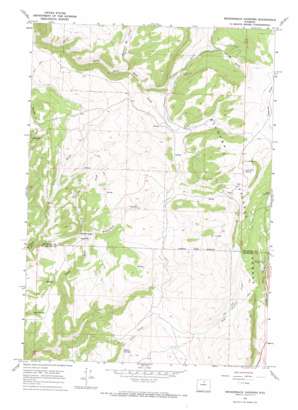 Brokenback Narrows USGS topographic map 44107b3