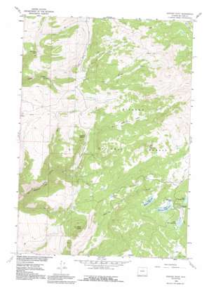 Spanish Point USGS topographic map 44107d4
